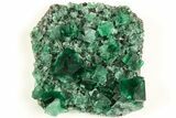 Fluorescent Green Fluorite Cluster - Diana Maria Mine, England #208881-1